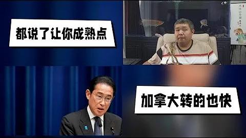 天天硬事3425期——01 美国布林肯让韩国人成熟点并访问中国后，日本岸田文雄发表演讲希望改善中日关系并讨论是否可以访华 02 加拿大驻华大使称中国不是“对手”，中加关系复杂、多面且非常重要 - 天天要闻