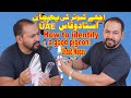 Achay Kabootar Ki Pehchan|Ustad Waqas|How to Identify a Good Pigeon Informative English Subtitles