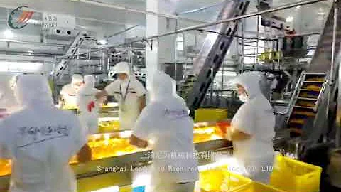 Light inspection conveyor machine