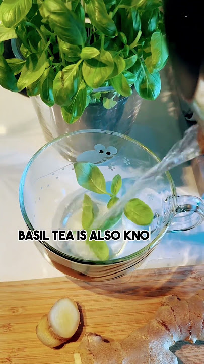 Surprising 😯 Health Benefits of Basil Tea #healthadvice #basil #naturaldiet #healthytea