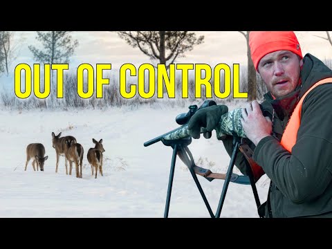 This Place Has A Deer Problem 