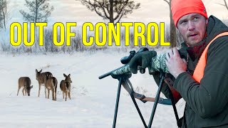 This Place Has A Deer Problem