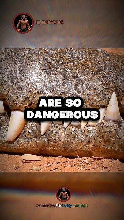 Why Crocodile Is Stronger Than Lion 💀💀💀 - YouTube