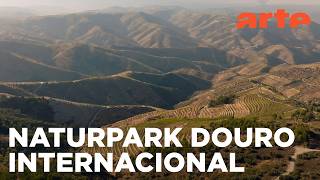 Naturpark Douro Internacional | Naturparks in Portugal