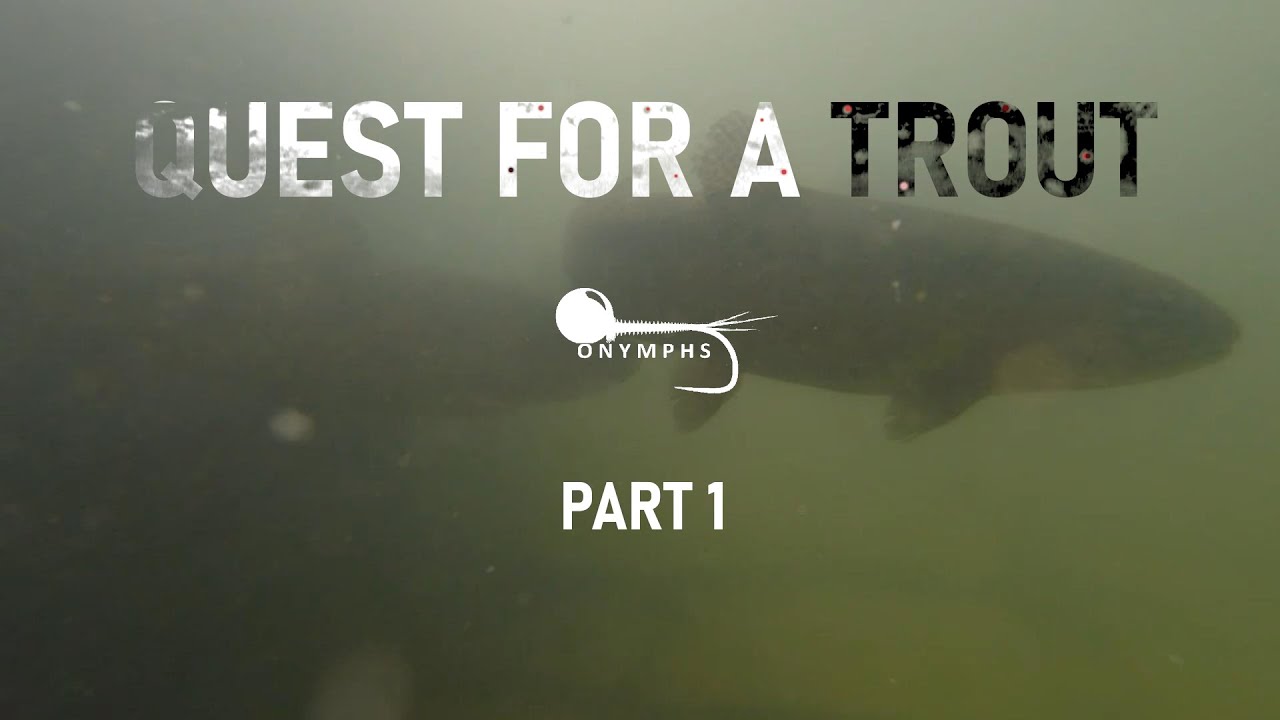 Quest for a Trout 1/3 - Fly fishing Transylvania, Romania