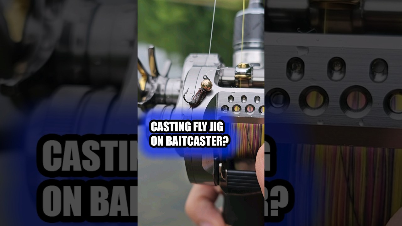 Катушка Insane Ultralight Baitcasting для кастинговой мушки - Shimano Calcutta Conquest BFS Reel ...