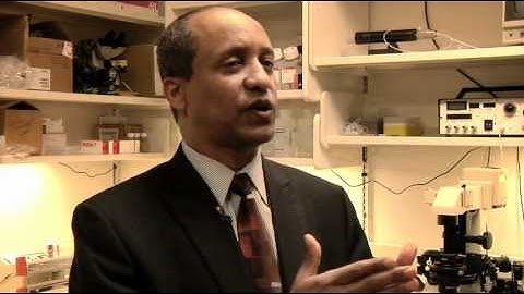 Computer Activities, Physical Exercise, Aging & Mild Cognitive Impairment Study