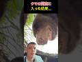 クマの洞窟に 入った結果…