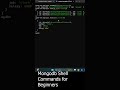 Mongodb Shell Commands for Beginners