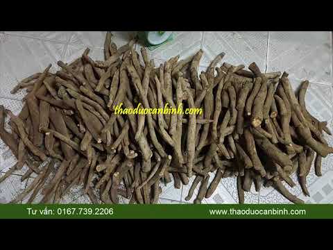 Củ Gai Tươi An Thai - Nên xem ít nhất 1 lần trước khi sử dụng 0377392206