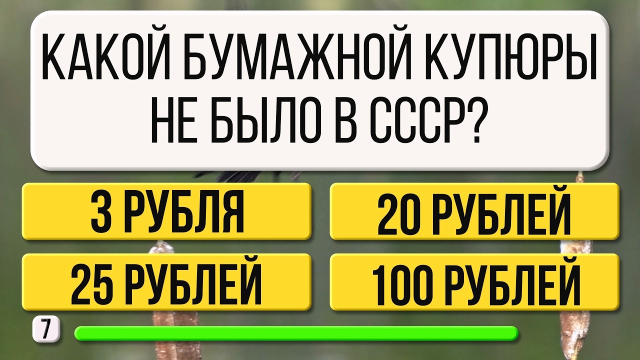 Ваш мозг в порядке, если вы ответили на 10 из 25 вопросов | Тест на эрудицию и память