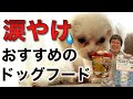 【犬の涙やけ】におすすめのドッグフードを、ペットショップ店長が解説します！