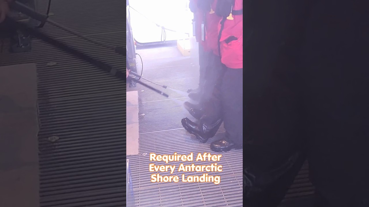 Every Shore Landing in Antarctica Ends Like This on Viking