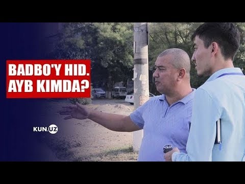 Video: Noxush Mehmonlar: Kollektsionerlar Nimaga Haqli?