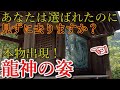超強力⚠️神の湖に鎮座する龍神社 如何なる願いも叶う神⚠️【広島県世羅町 大成龍神社】【祭神:大成龍神 国常立尊】