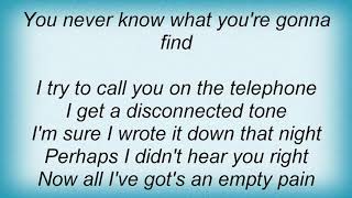 Regurgitator - The Lonely Guy Lyrics