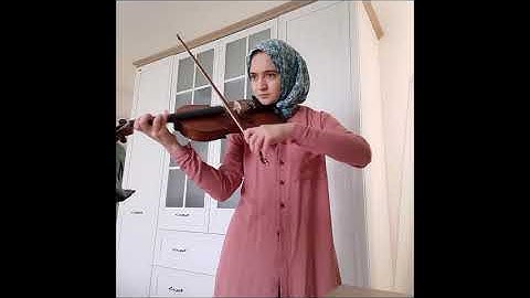 My 1 Year Violin Progress as an Adult Violin Beginner