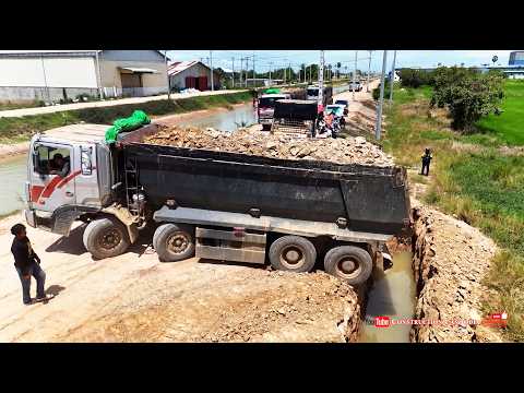 Massive Landfill Into Flood Land! Heavy Equipment Dozer Pushing Dirt with Dump Trucks Unloading Dirt
