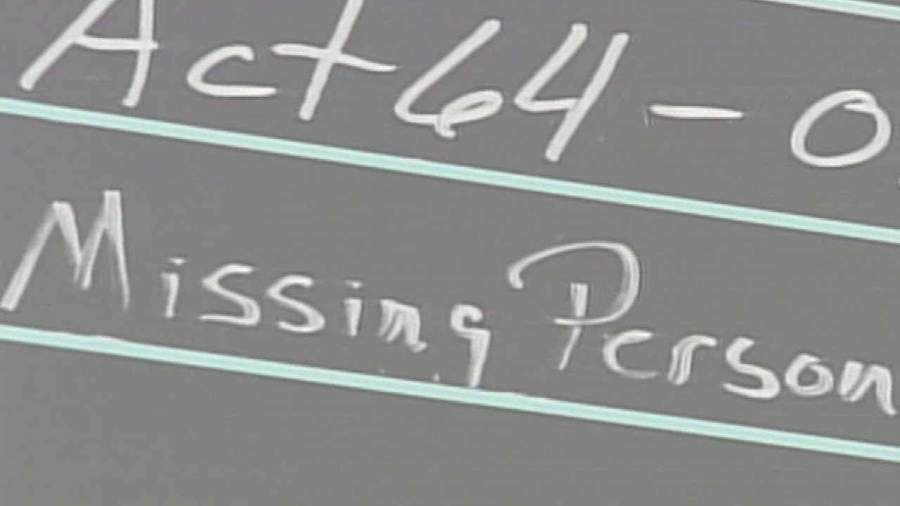 Have You Seen Me? Case #2 - Cindy Song
