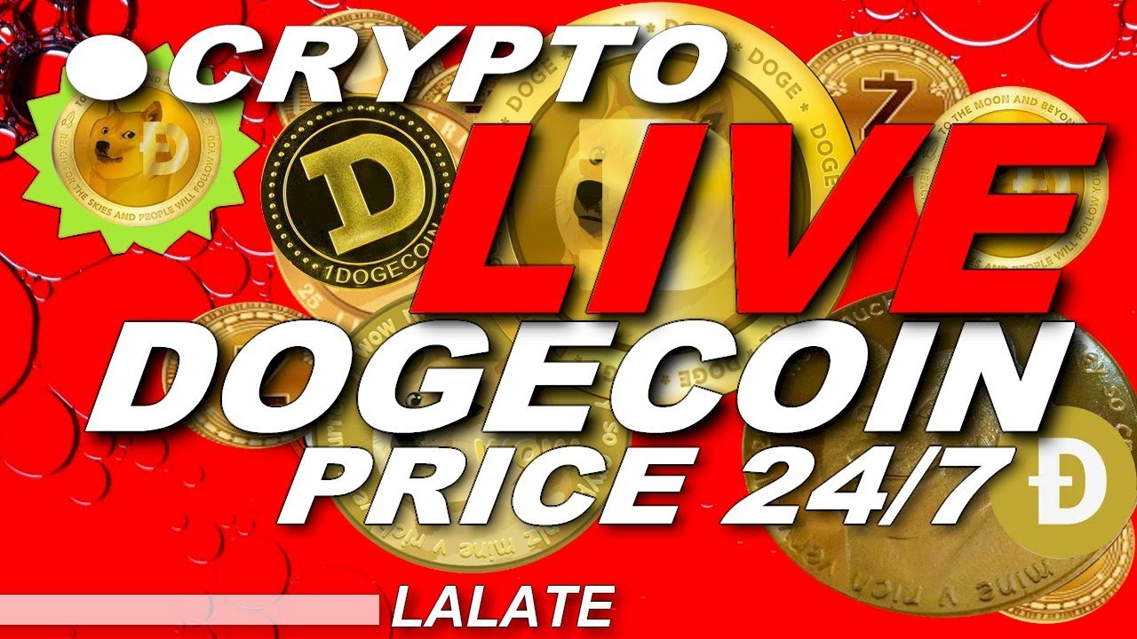 CRYPTO LIVE NEWS DOGECOIN LIVE STREAM NOW | DOGECOIN LIVE CHART LIVE STOCK PRICE 🚀 SHIBA INU NEWS