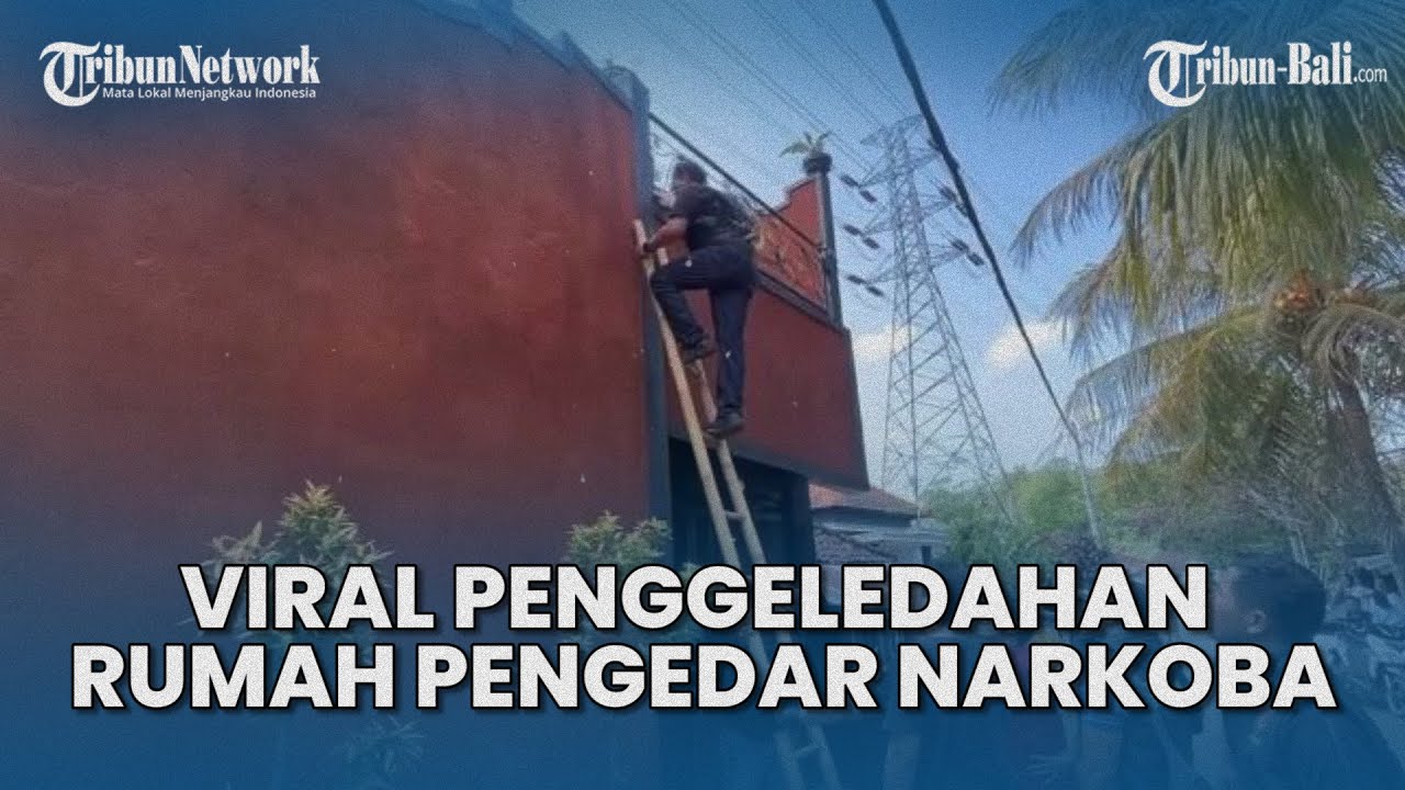 Viral Penggeledahan Rumah Terduga Pengedar Narkoba di Buleleng Bali, Petugas Panjat Rumah Warga