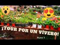 ¡Tour por un vivero Parte 1: Las plantas más hermosas llenas de flores y colores!🌹🌳