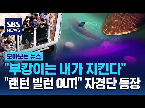 "I'll Protect Buk-i".. "Lantern Villains OUT!" Vigilante Group Appears / SBS / News Roundup