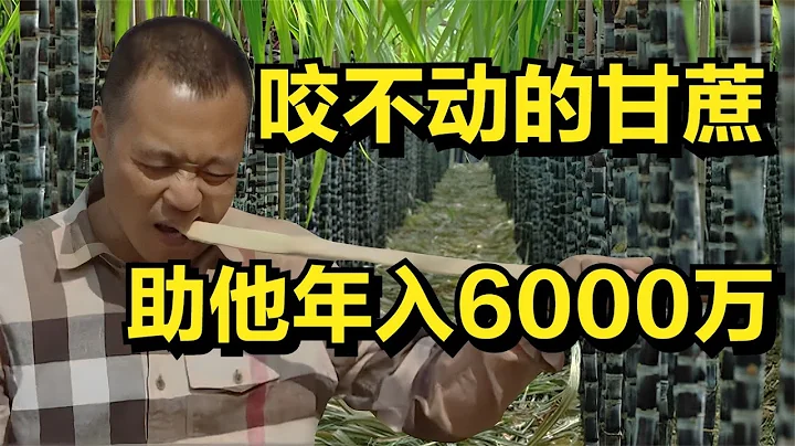 他靠难啃的“金箍棒"，一路过关斩将年入6000万，带领500农户致富 - 天天要闻