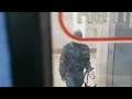 Поезд музей на Ленинской линии Площадь Маркса - Речной Вокзал 21.02. 2023