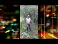 Bamboo is no jokes