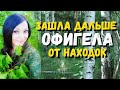 Офигела от находак зайдя дальше в лес. Поиск с металлоискателем, тайники и клады в лесу