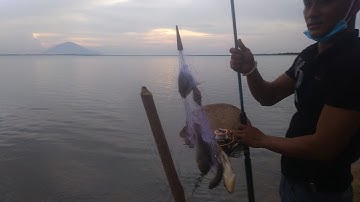 Text Thử Cần Câu Lưới Và Cái Kết.