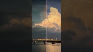 Just One Shot: Film Photography | FILCA