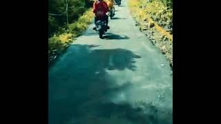 Story wa: c70.cb.mp.tiger