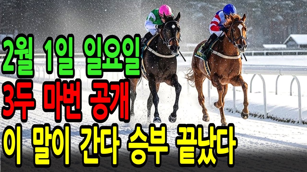2월 1일 일요일 경마~“이 말이 간다 승부 끝났다”ㅣ승전경마 전문가의 이변 포착 l 경마 l 경마예상 l 코리아레이스 l 검빛경마 ㅣ경마정보