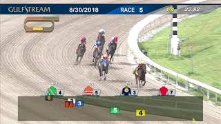Gulfstream Park August 30, 2018 Race 5