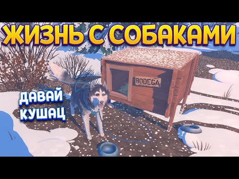 Видео: ЖИЗНЬ С СОБАКАМИ НА СЕВЕРЕ ( The Red Lantern )