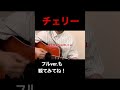 【チェリー】愛してるの響きだけで。#チェリー #スピッツ #初恋 #失恋 #cover #アコースティック #弾き語り #歌うま #春 #歌