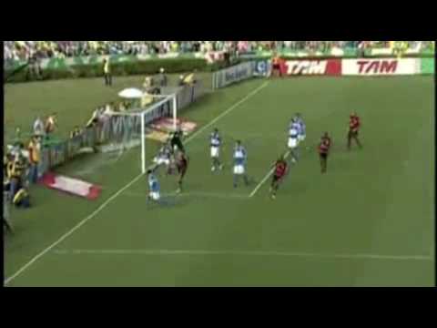 Os gols mais bonitos da 30Ë rodada do Campeonato Brasileiro 2009. Dessa vez os goleadores foram Petkovic (Flamengo), com 2 gols no vÃ­deo, e Arce (Sport). Para votar no seu gol favorito, acesse: amadoresfc.blogspot.com