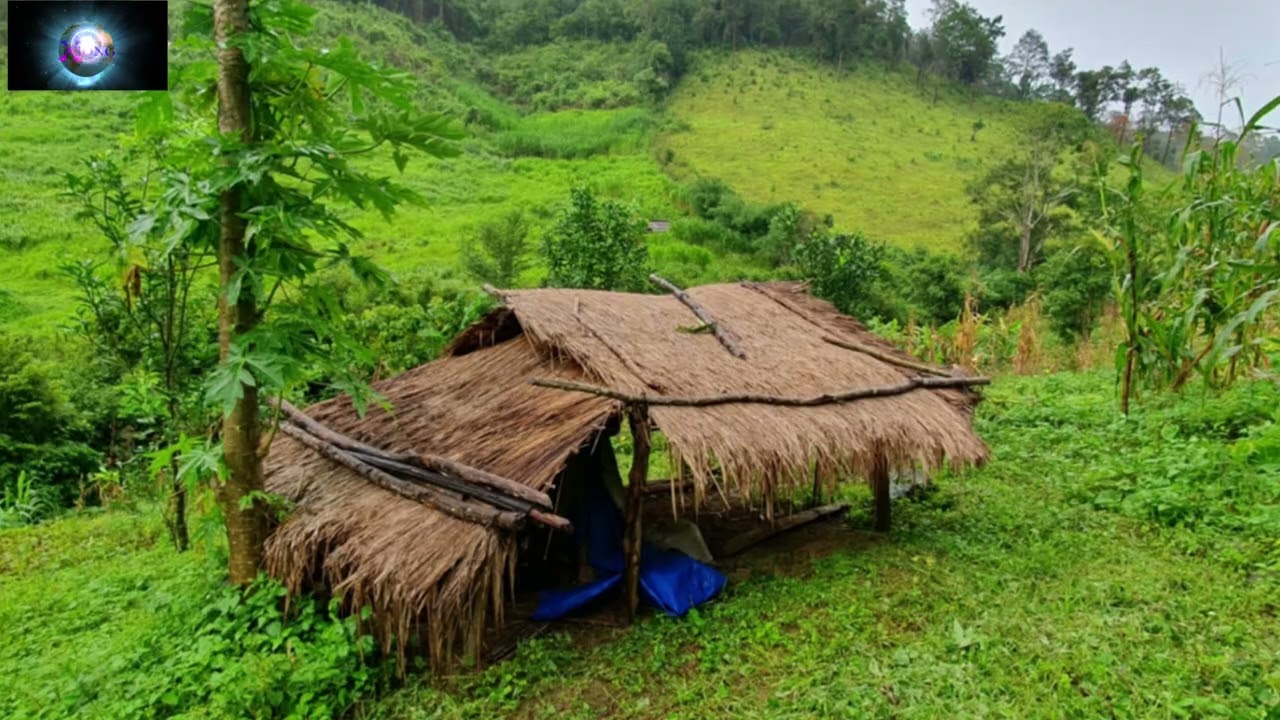 TSOV TOM AB TUAM THIAB AB LWM NRAM TEB /9/4/25