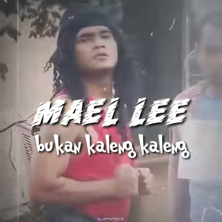 Story wa terbaru 30 detik.....MAEL LEE STORY.....|| story wa keren