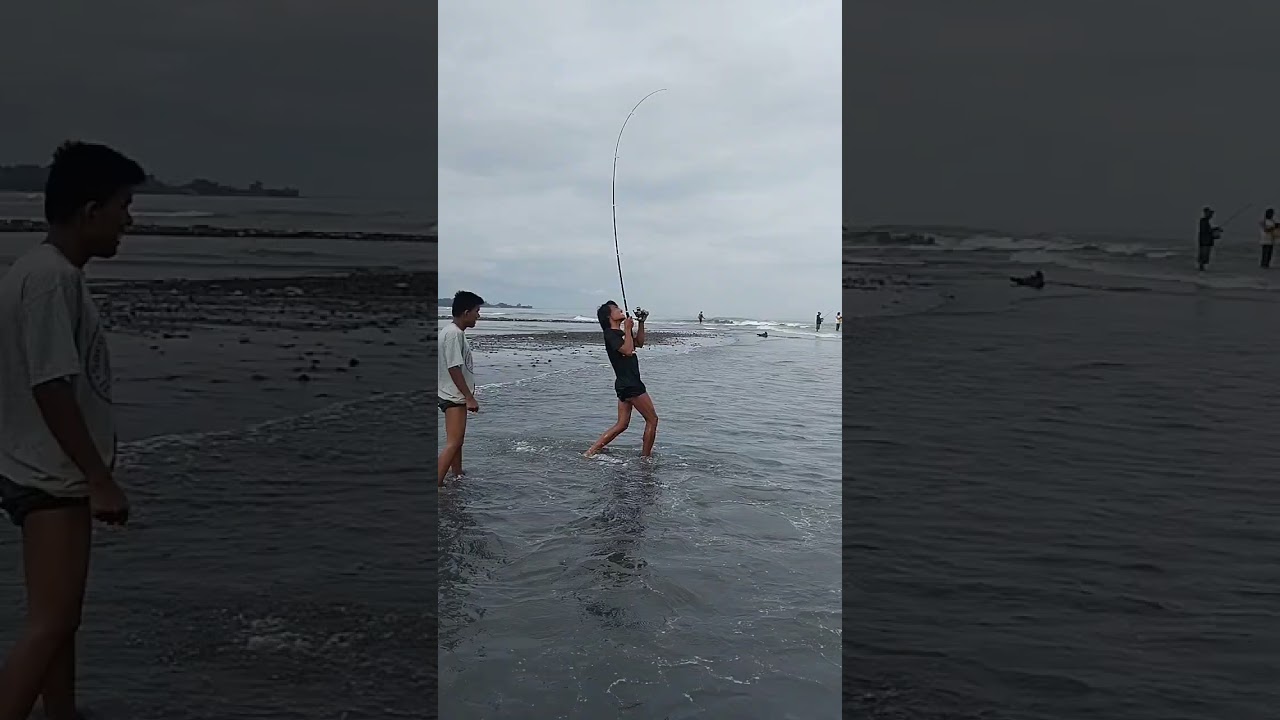 Mancing ,,Pant ai pengastulan dengan umpan  keong sawah ,,streik ikan jangki