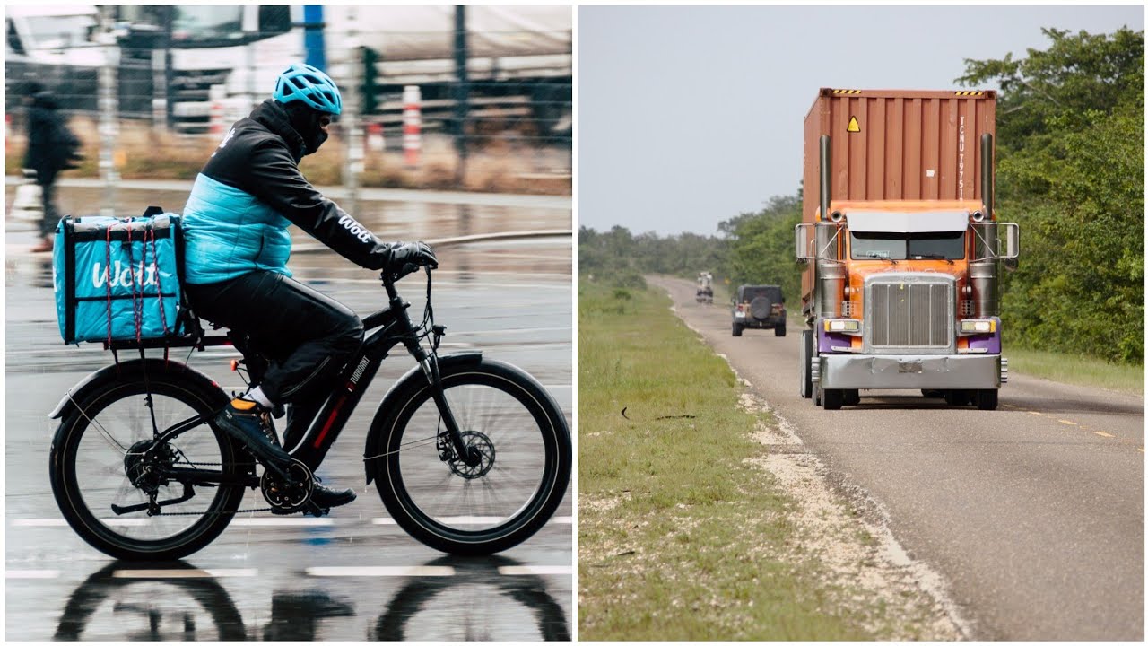 Wholesale Truck Load And courier services🌿 Aglaonema All varieties supplier☘️Kolkata Plants Nursery