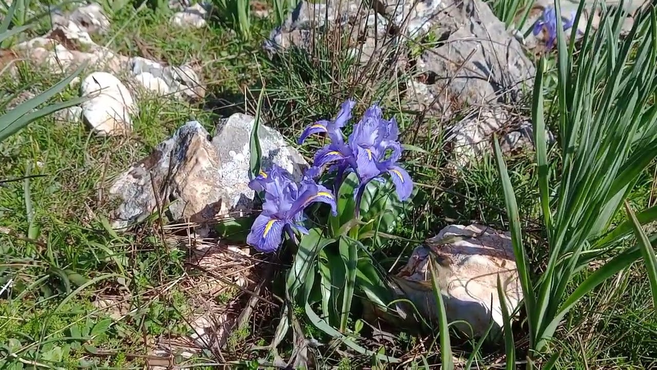 Día fresco.🐑🐑🤠