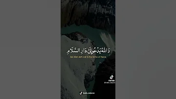 والله يدعوا إلى دار السلام للقارئ عبدالرحمن مسعد حالات واتس تيك توك 