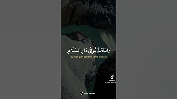 والله يدعوا إلى دار السلام للقارئ عبدالرحمن مسعد ، حالات واتس ،تيك توك