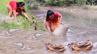 Catch big crab and catfish for food of survival, Catch and cook big snake, Fish for survival food