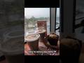 Visiting tim Horton in rainy weather. Ordered ice coffee with blueberry muffin.  #shorts #timhortons