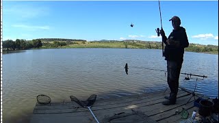 Рыбалка в Закарпатье. Канадские сомики атакуют!