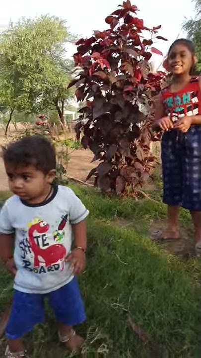 cg holi song dukalu yadav dj mp3